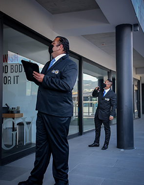 Servicio de vigilancia profesional