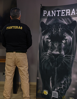 Servicio de vigilancia profesional