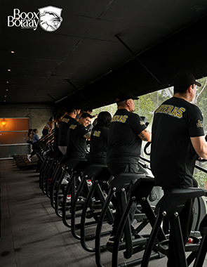 Servicio de vigilancia profesional