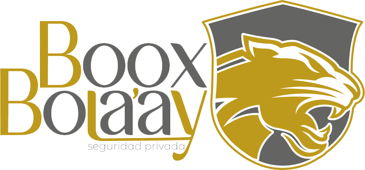 Logo Boox Bola'ay